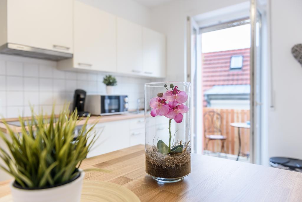 Deluxe Apartment Mit Schlossbergblick Freiburg im Breisgau Buitenkant foto